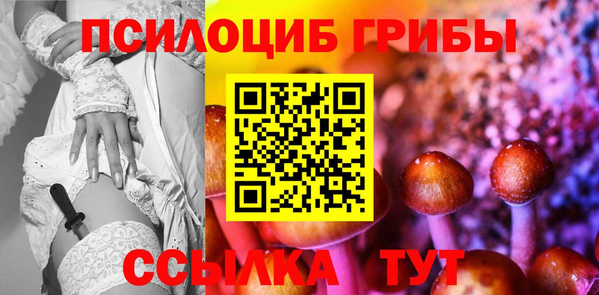 Псилоцибиновые грибы прущие грибы Сосновый Бор