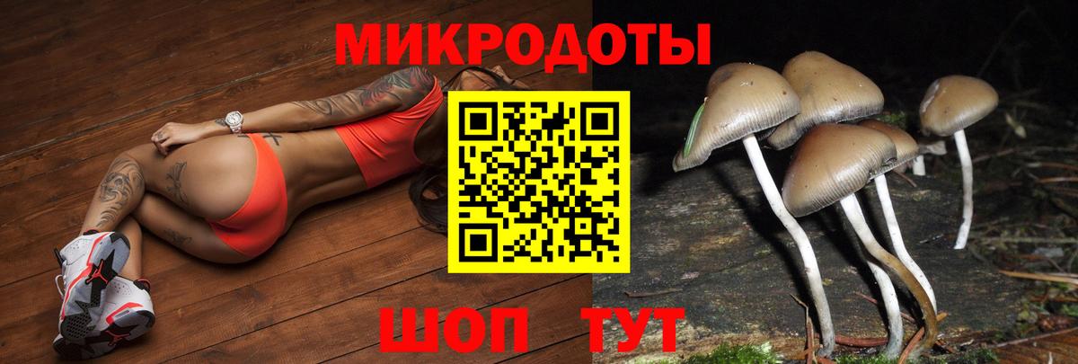 Сосновый Бор  Псилоцибиновые грибы прущие грибы  Вход с VPN 